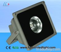 professional manufacturer for led floodlight