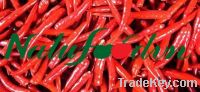 Sell red chilli