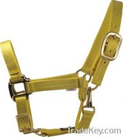 brass horse halter hardware