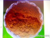 Sell Instant Chicory Powder (Granules)