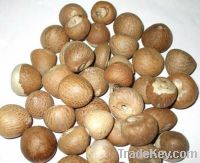 Sell Betel Nut