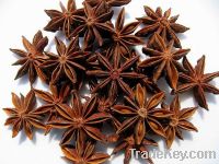 Sell Star Aniseed