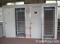Sell 19712eggs incubator large style