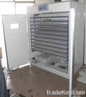 Sell incubator (yztie-16) Hot selling