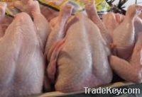 Sell Halal Whole Frozen Chicken And Parts