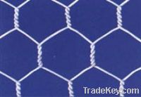 Sell PVC hexagonal wire mesh