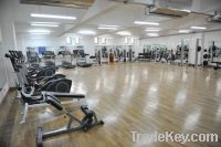 indoor gym court pvc sports flooring