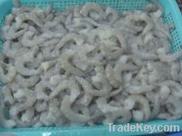 Sell Frozen Shrimp