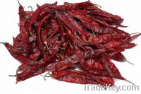 Sell dry red chillies