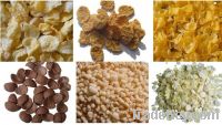 Cereal corn flakes processing line