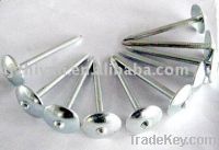 Sell Roofing nail with umbrella
