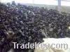 Sell ferrous and non ferrous scrap supplier