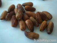 fresh and dry dates fruits