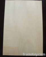Sell basswood wood veneer