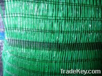 Sell Sun Shade Net for Agriculture