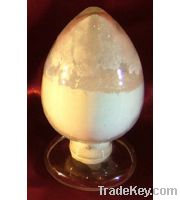 Sell bitter apricot extract