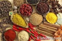 Sell Spices, Herbs & Other Spices