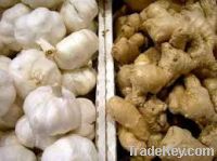 Sell Fresh Garlic & Ginger