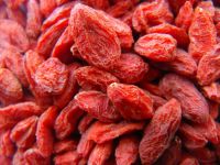 Sell fresh Goji berry