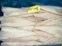 Sell Frozen Hake Fish Fillet