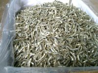 Sell Dried Anchovy Fish