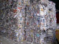 Sell Waste Office Paper/ Scrap Paper