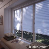 Sell paper blinds, temporary blinds