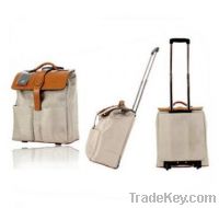 Medical Travel Bag