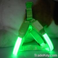 Sell cheap led dog harness