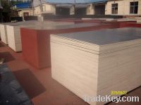 Sell Film faced plywood, shuttering plywood, formworks