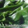 Sell kelp extract