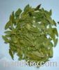 Sell senna leaf extract