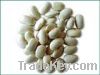 Sell white kidney bean extract