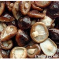 Sell shiitake mushroom extract