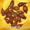 Sell cherokee rose fruit extract