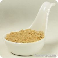 Sell Dry yeast (pharmaceutical raw materials, yeast)