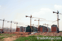 Sell Topkit Tower Crane TC6014-Max. Load 8t