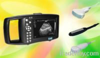 Portable Vet Digital B-mode Ultrasonic Diagnostic Apparatus HD-9300A