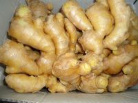 Sell air dry ginger