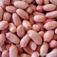 Sell peanut kernels