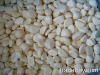 Sell frozen garlic cloves