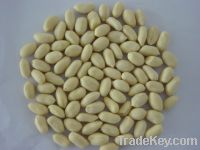 Supply blanched peanut kernels