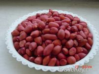 Sell peanut kernels with red skin