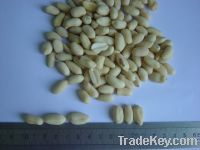 Sell Shandong blanched peanuts