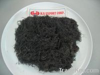 Supplying seaweed with hight quality and best price