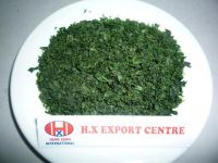 Sell Sea Lettuce seaweed used in feed for many animal or human food