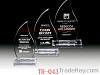 Sell Acrylic Trophy, Plexiglass Prize Medal, Acrylic Award