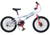 Sell 20" professinal freestyle BMX