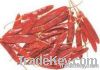 Sell Red Bird Eye Chillies