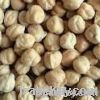 Sell White Kabuli Chickpeas